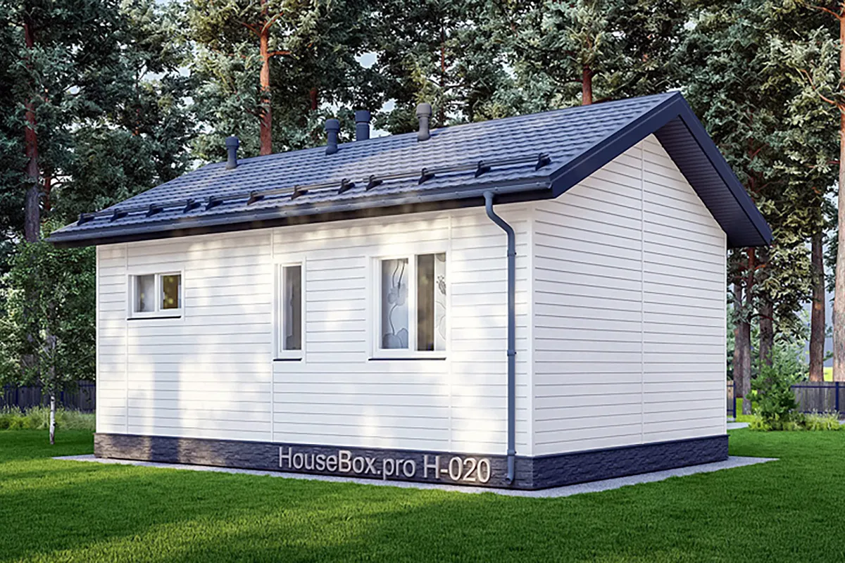 «Пегас» H-020